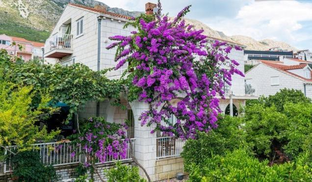 Apartments Husanovic Мокошица Номер фото